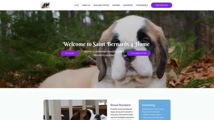 Screenshot of