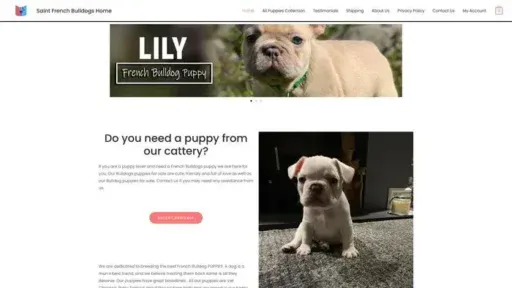 Screenshot of