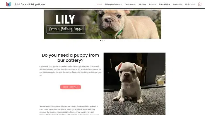 Screenshot of