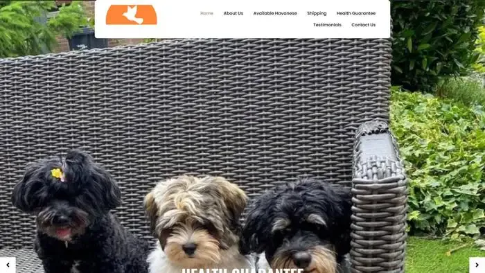 Screenshot of