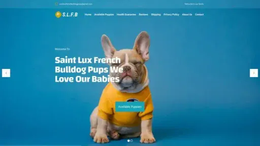Screenshot of