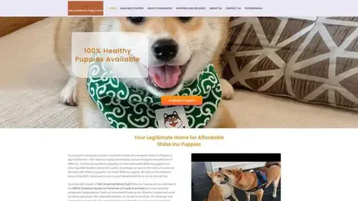 Screenshot of