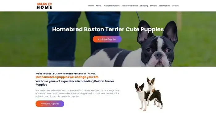 Screenshot of