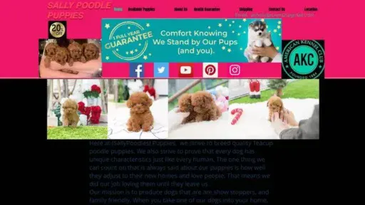 Screenshot of