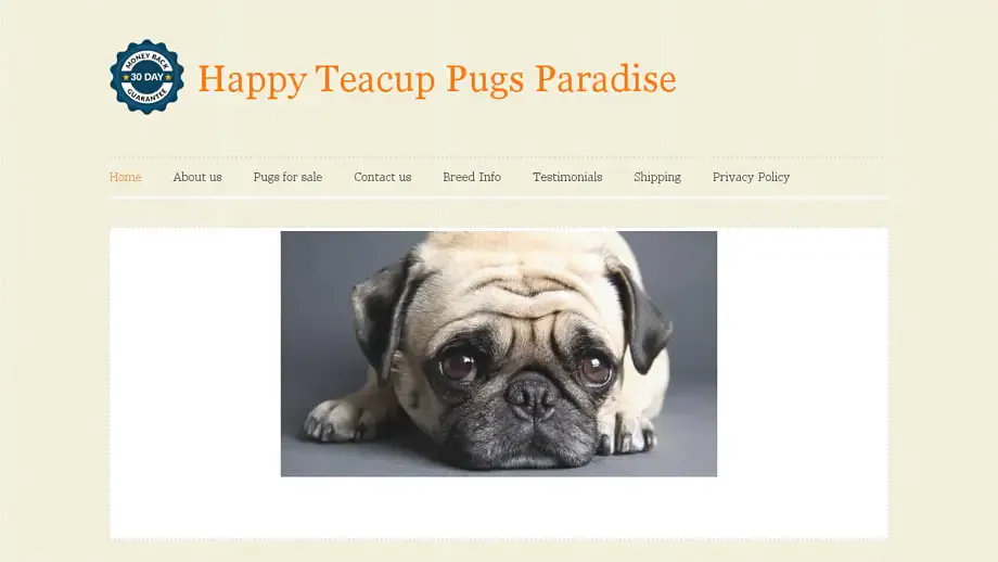Screenshot of