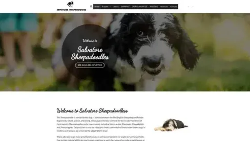 Screenshot of