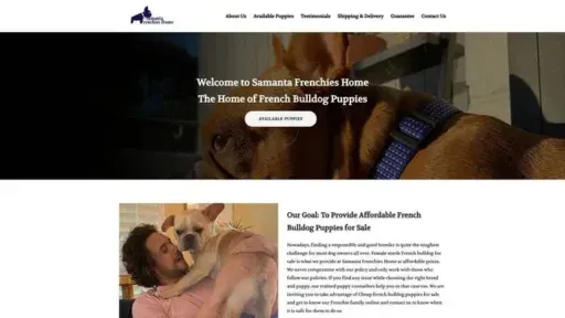 Screenshot of