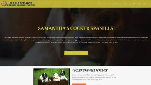 Screenshot of