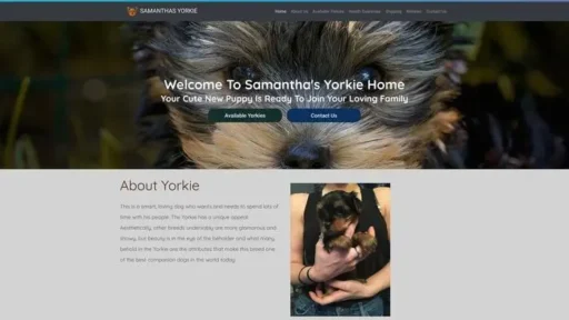 Screenshot of
