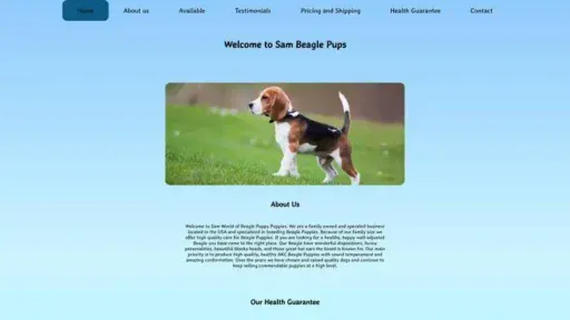 Screenshot of