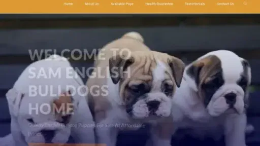 Screenshot of