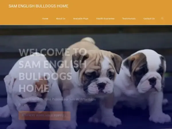 Screenshot of