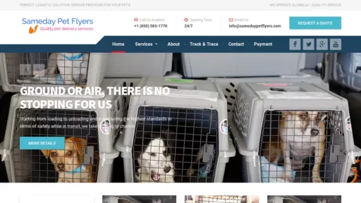 Screenshot of|