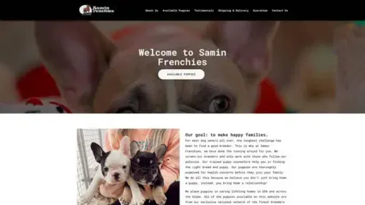 Screenshot of