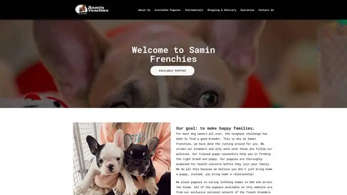 Screenshot of