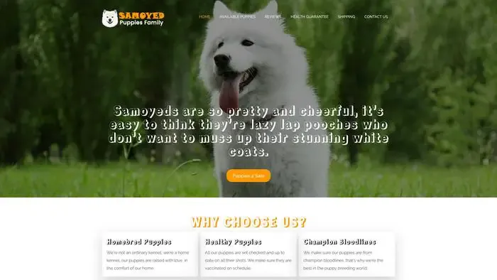 Screenshot of