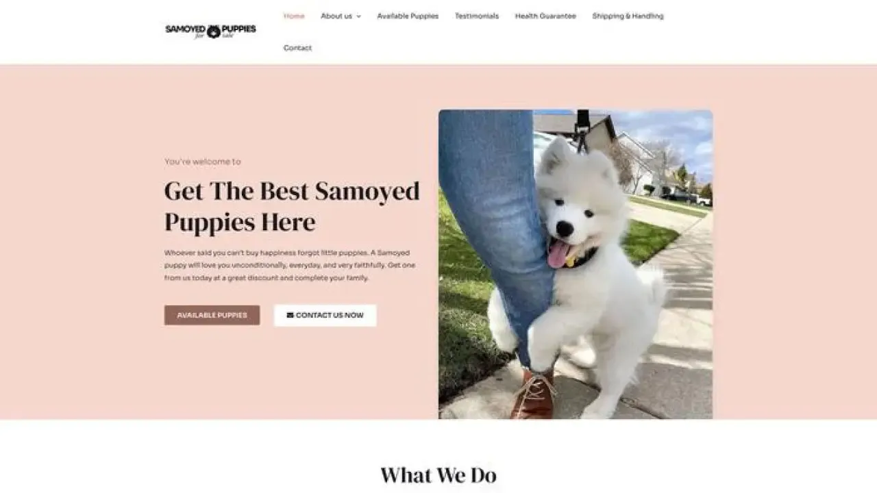 Samoyedpuppiesforsalez