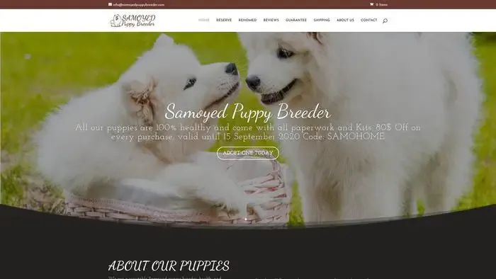 Screenshot of