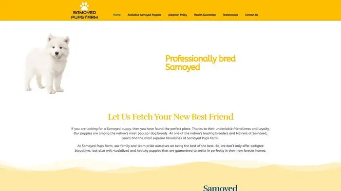Screenshot of
