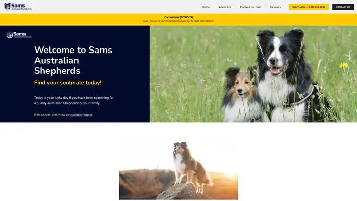 Screenshot of