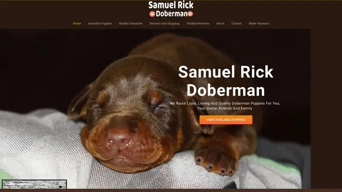 Screenshot of