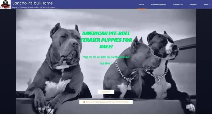 Screenshot of