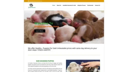 Screenshot of