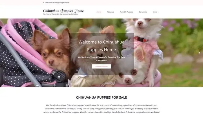 Screenshot of