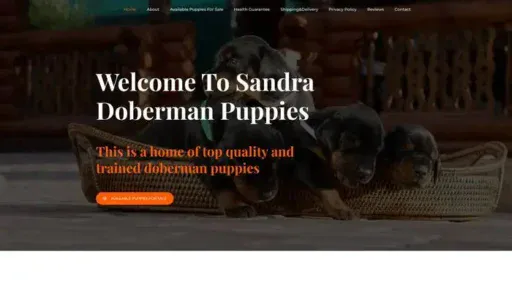 Screenshot of