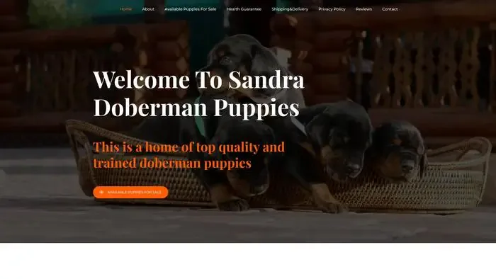 Screenshot of