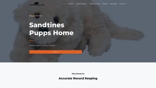 Screenshot of