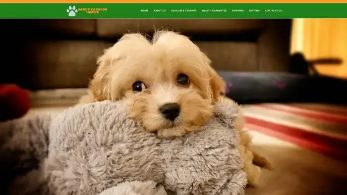 Screenshot of