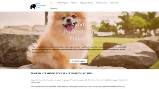Screenshot of