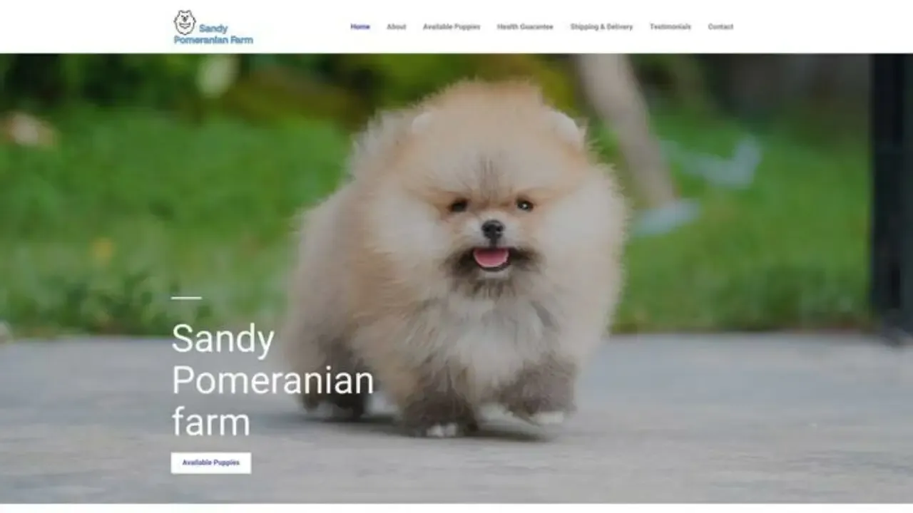 Sandypomeranianfarm