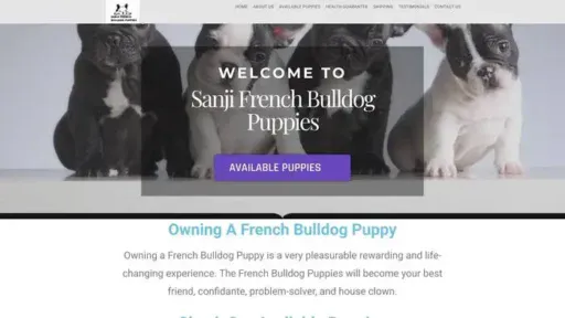 Screenshot of