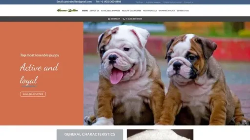 Screenshot of