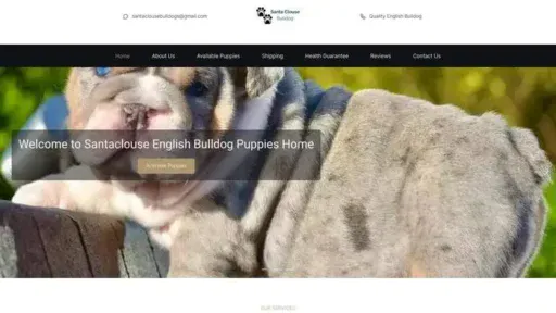 Screenshot of