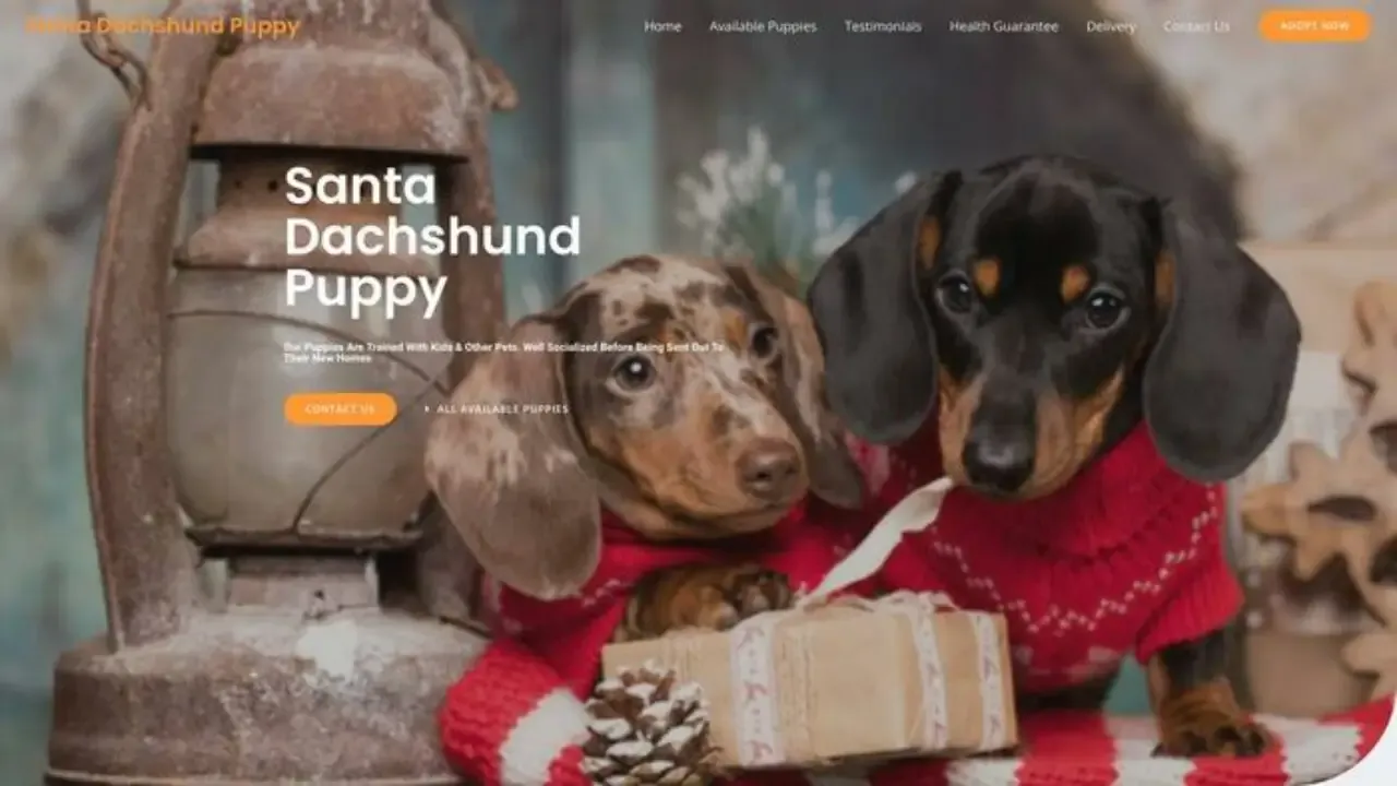 Screenshot of||