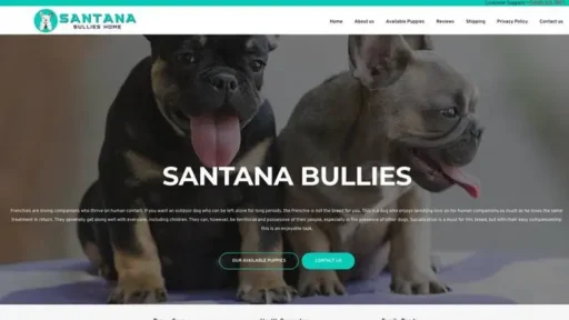 Screenshot of