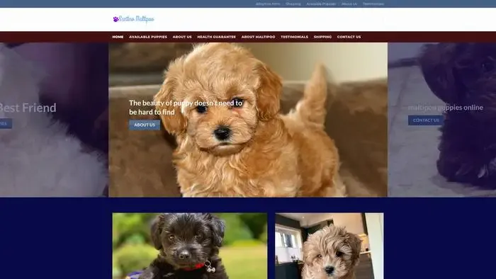 Screenshot of