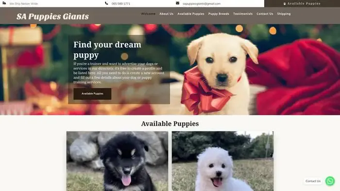 Screenshot of