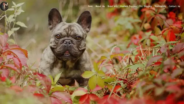 Screenshot of