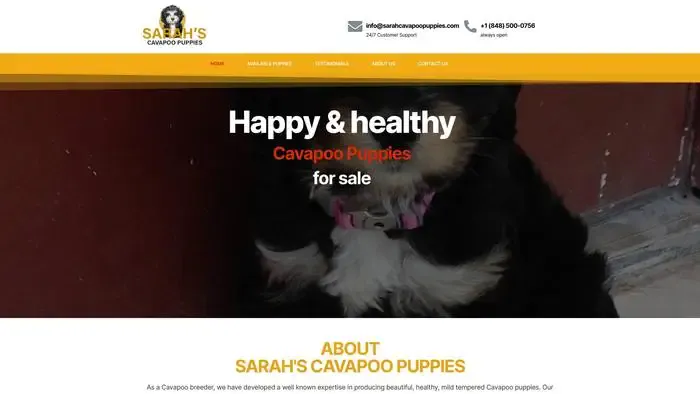 Screenshot of