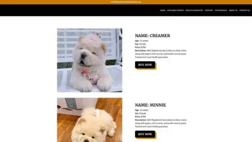 Screenshot of