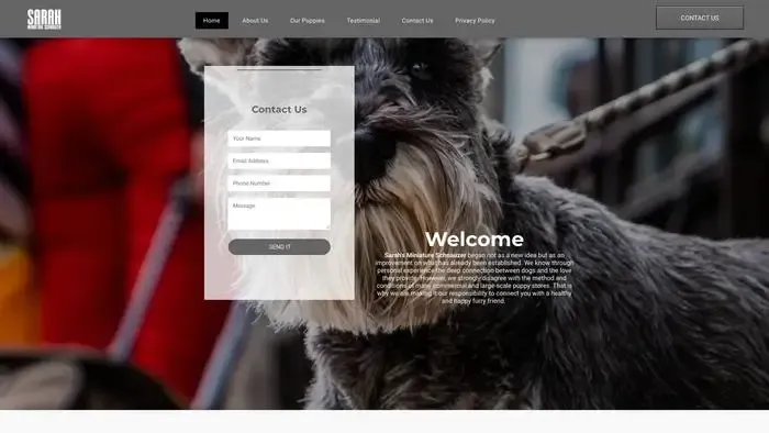 Screenshot of