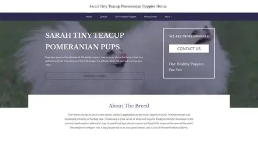 Screenshot of
