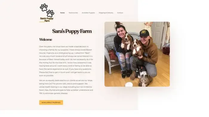 Screenshot of