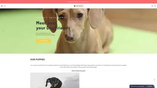 Screenshot of