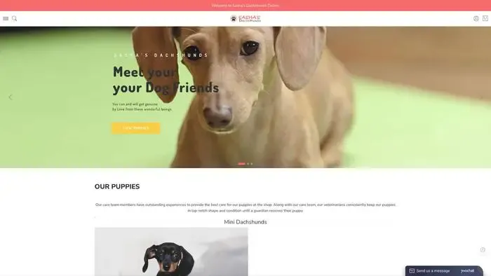 Screenshot of