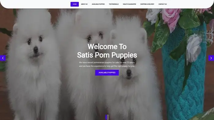 Screenshot of